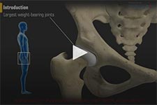 Minimally Invasive Total Hip Replacement