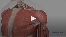 Shoulder Labrum Reconstruction